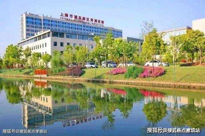 碧云澧悦售楼处发布：黄金地段稀缺席尊龙凯时网站浦东碧云澧悦（网站）(图5)
